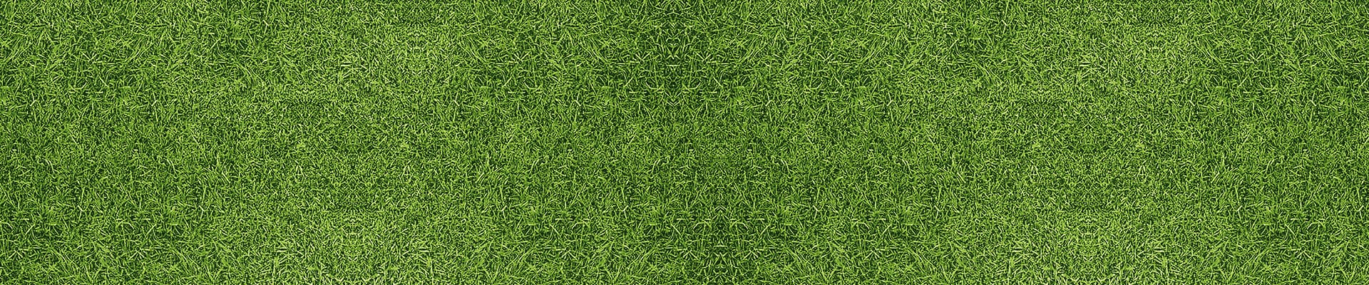 CTA Background