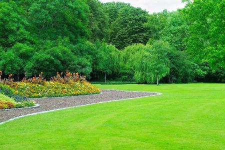Artificial Grass vs. Natural Grass in Frisco: Which Is Right for Your Yard? Thumbnail