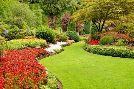 Top 5 Outdoor Upgrades to Boost Home Value in Frisco Thumbnail